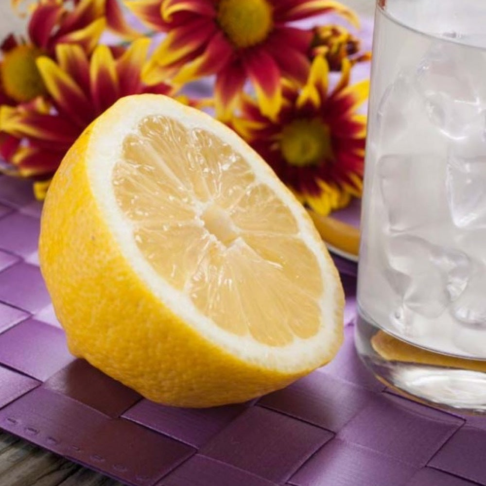 Lemon Extract Without Diacetyl