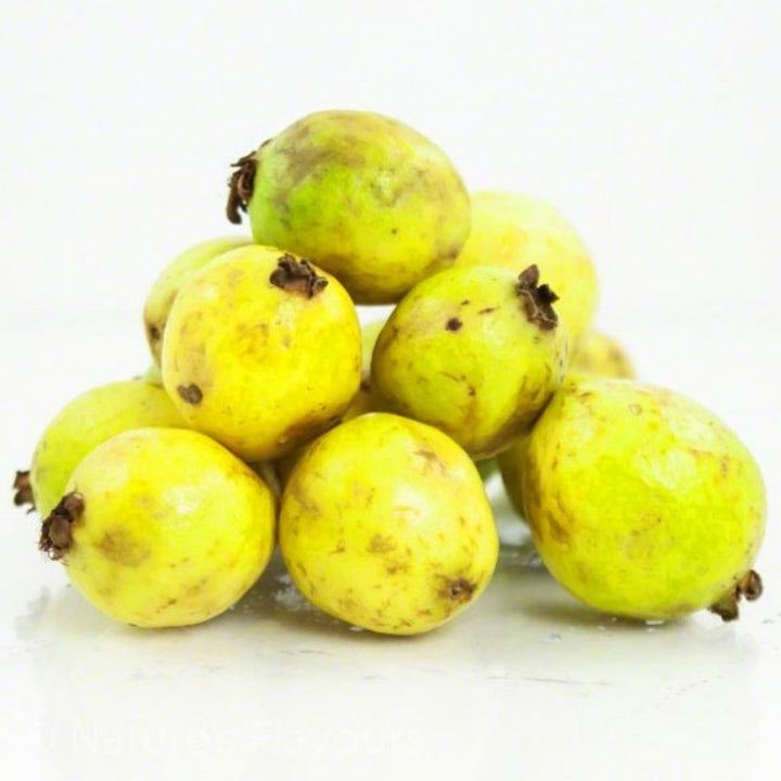 Guava Cotton Candy Floss Sugar