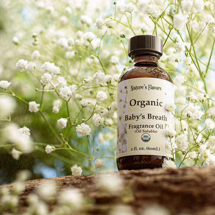 Baby's Breath Fragrance Oil (Oil Soluble), Organic