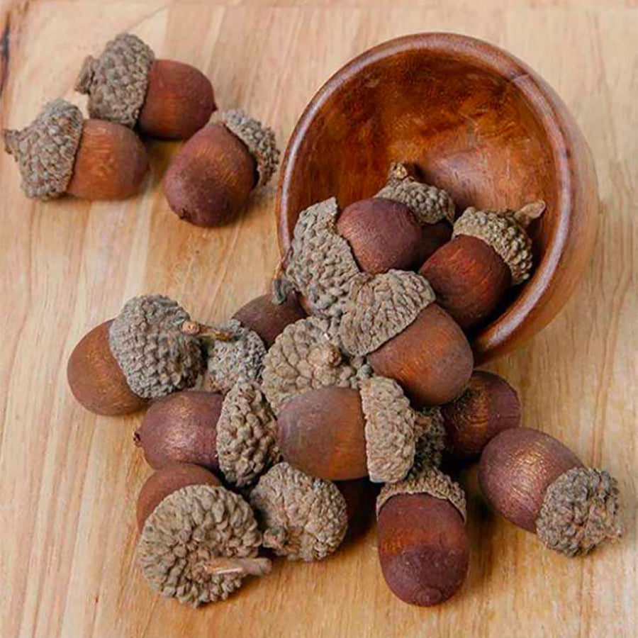 Acorn Flavor Oil, Natural