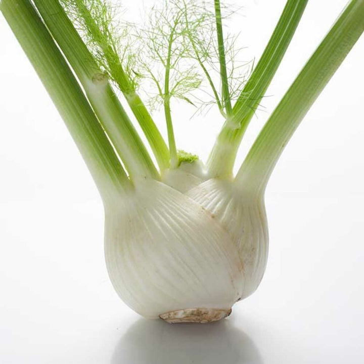 Anise Flavor Emulsion for High Heat Applications, Organic