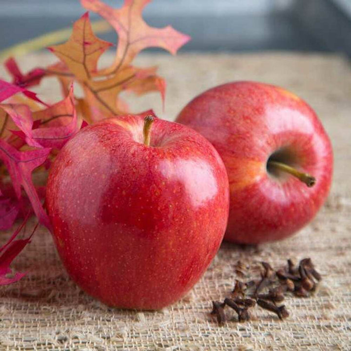 Apple Italian Soda Syrup, Natural