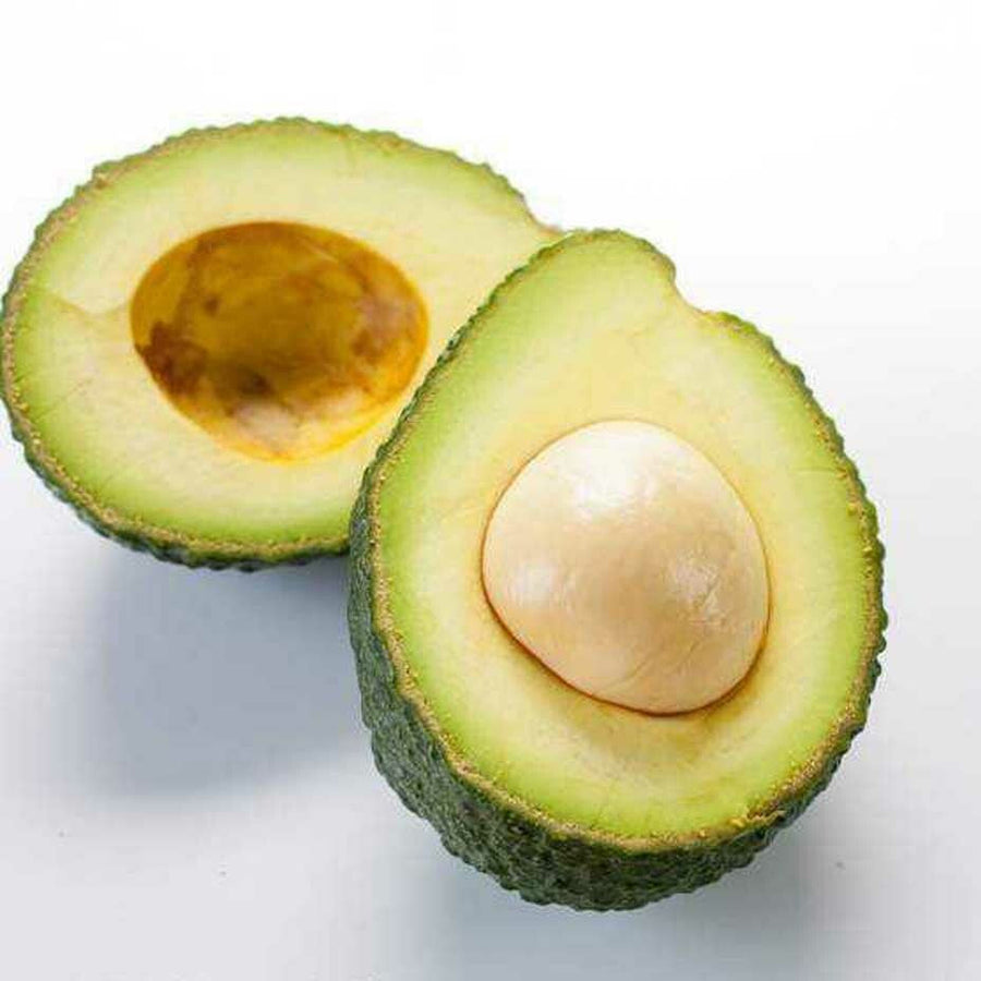 Avocado Carrier/Massage Oil