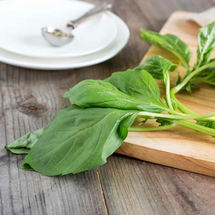 Basil Flavor Concentrate, Organic