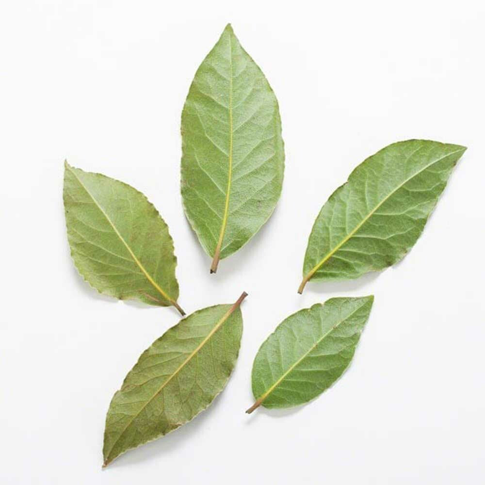 Bay Flavor Extract Without Diacetyl
