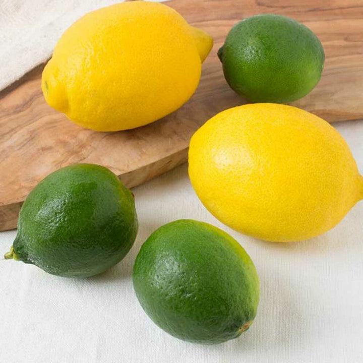 Bergamot Fragrance Oil (Oil Soluble)