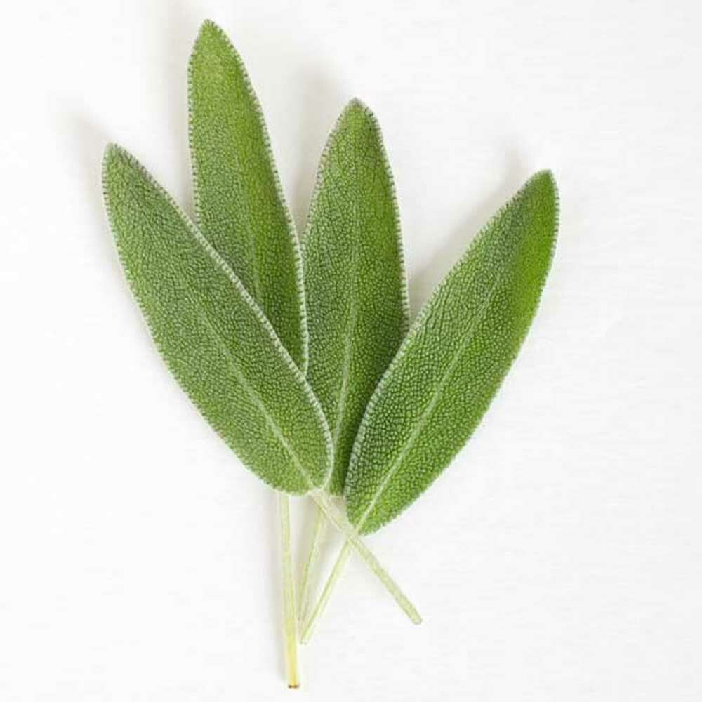Sage Essential Oil, Natural