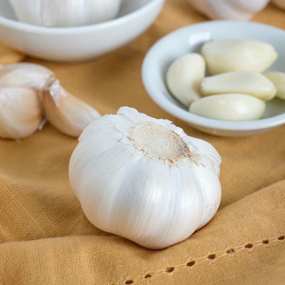 Garlic Flavor Oil, Natural