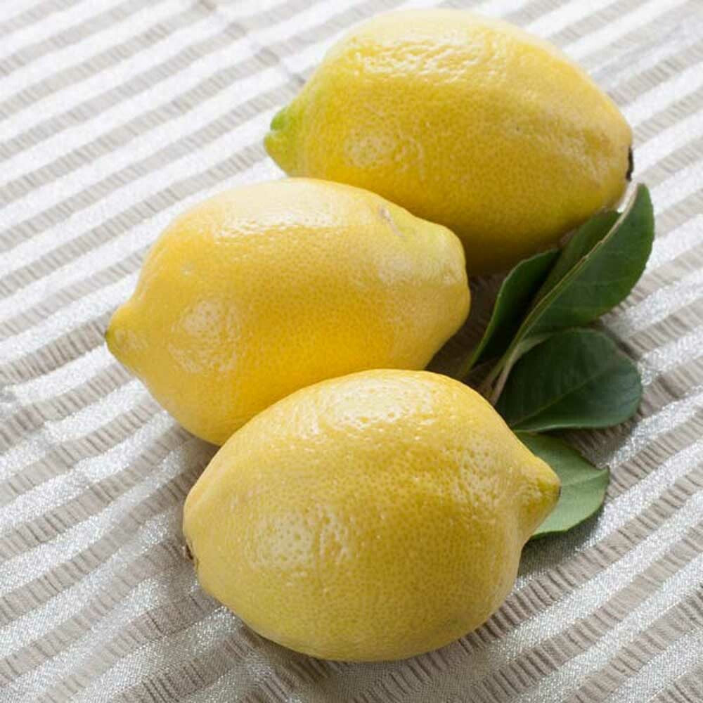 Lemon Essential Oil (Cold Pressed), Organic