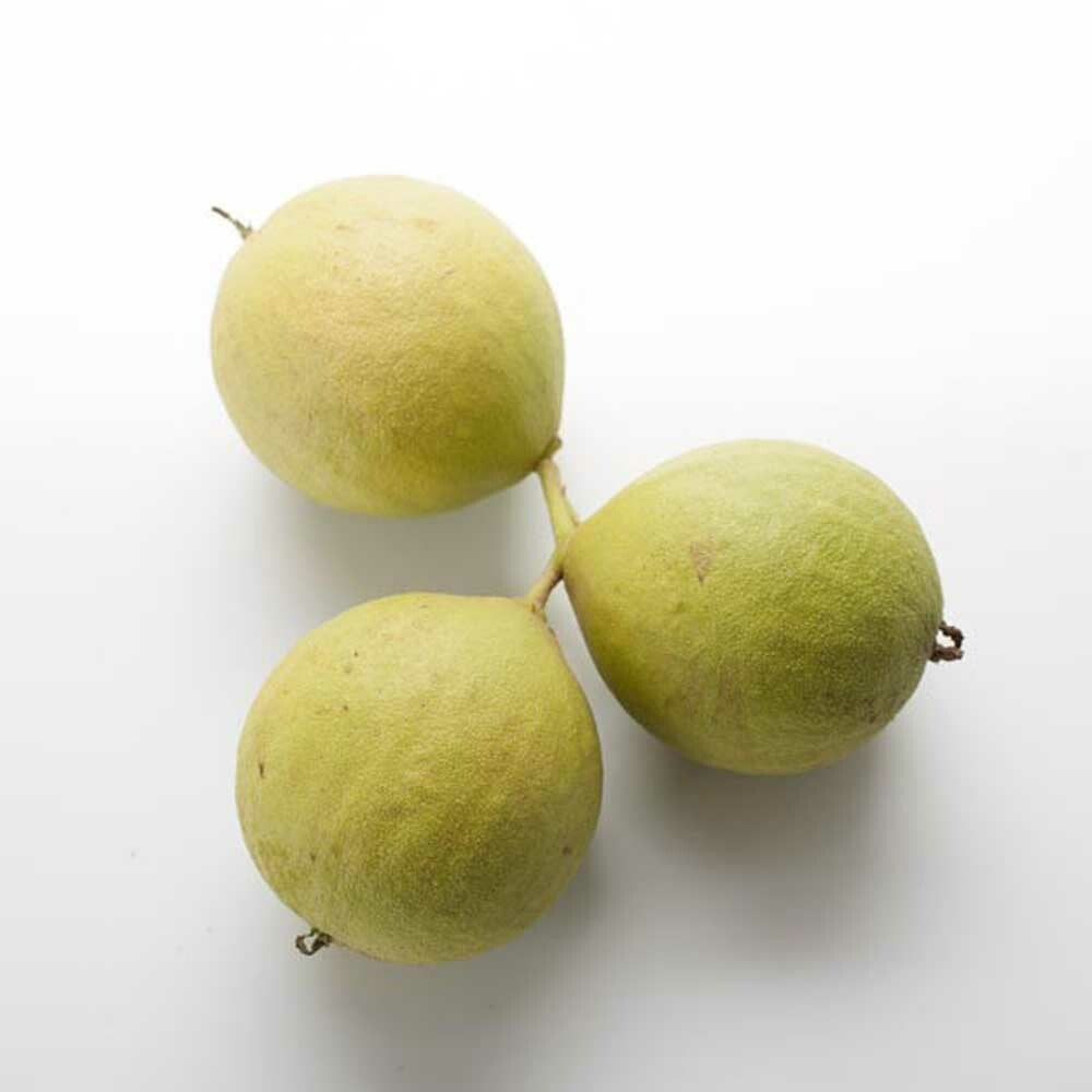 Black Walnut Flavor Extract, Organic