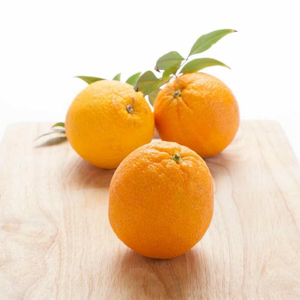 Orange (5X Fold) Essential Oil, Natural