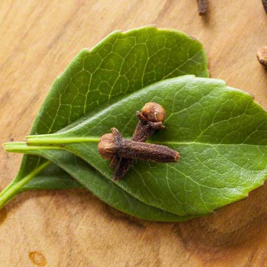 Sante Clove Leaf Essential Oil