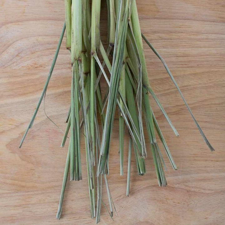 Lemongrass Sugar Free Flavor Powder