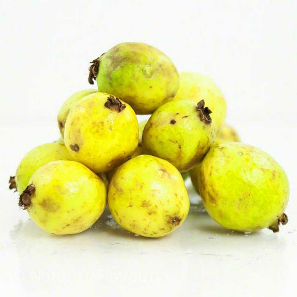 Organic Guava Flavor Cotton Candy Base
