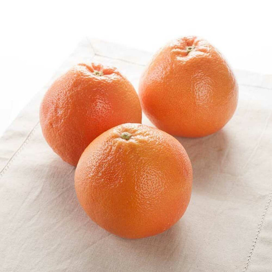 Grapefruit Flavor Extract - TTB Approved, Natural