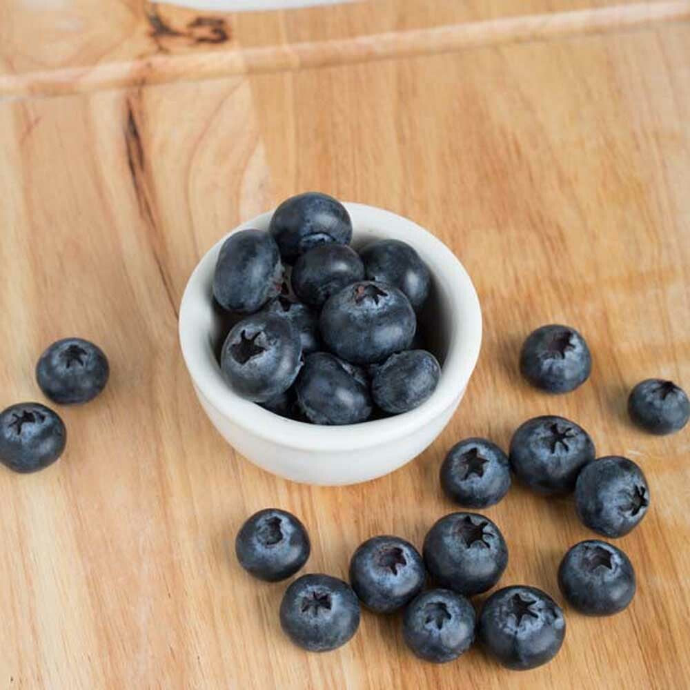 Organic Blueberry Flavor Concentrate for Frozen Yogurt