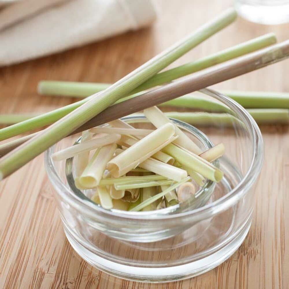 Citronella Essential Oil, Organic