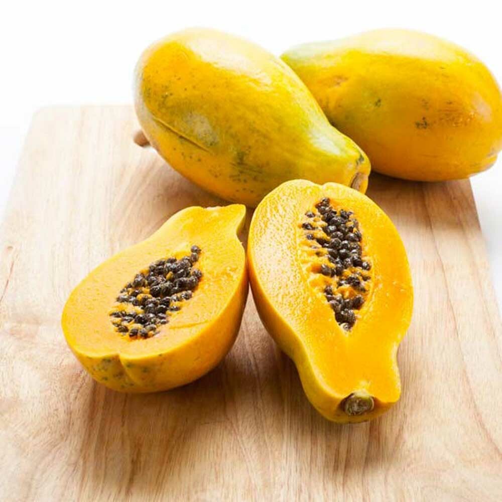 Papaya Sugar Free Flavor Powder