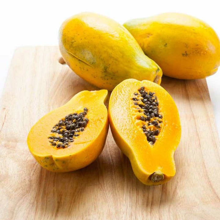 Papaya Sugar Free Flavor Powder