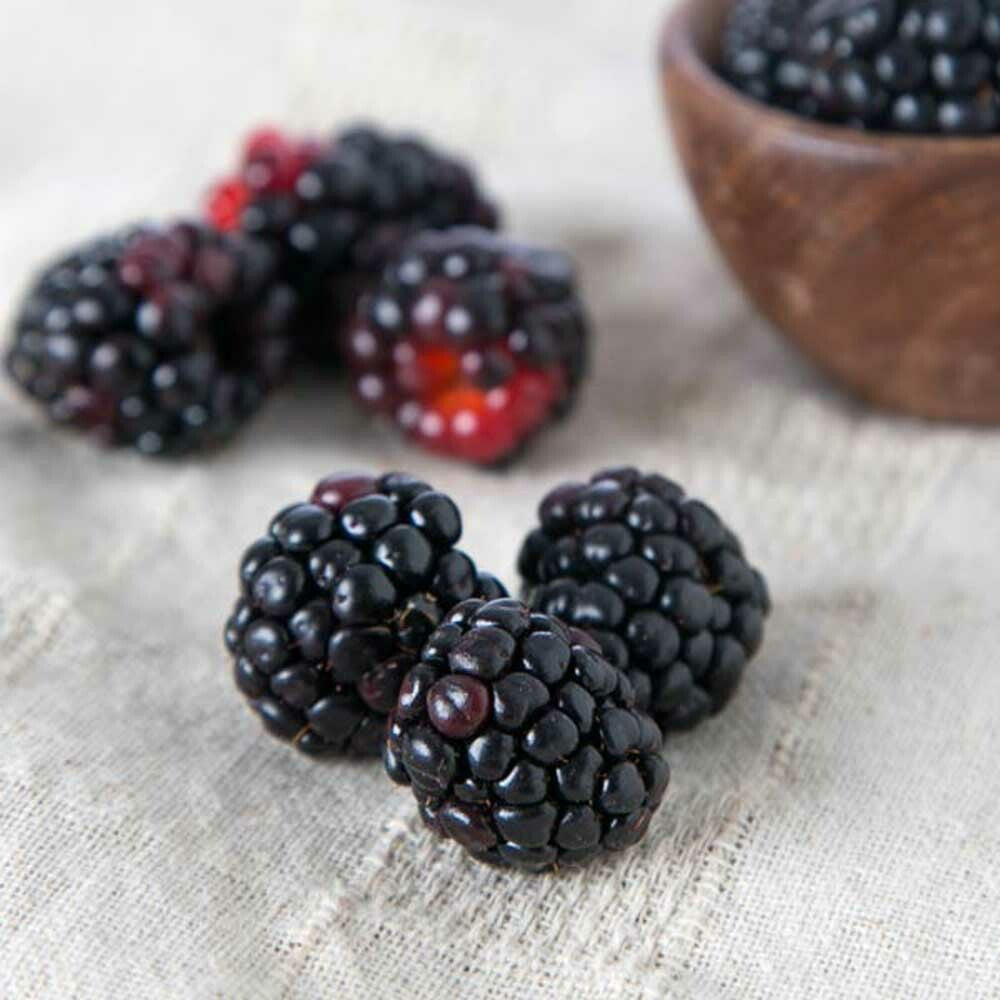 Black Raspberry Vanilla Fragrance Oil (Oil Soluble), Organic