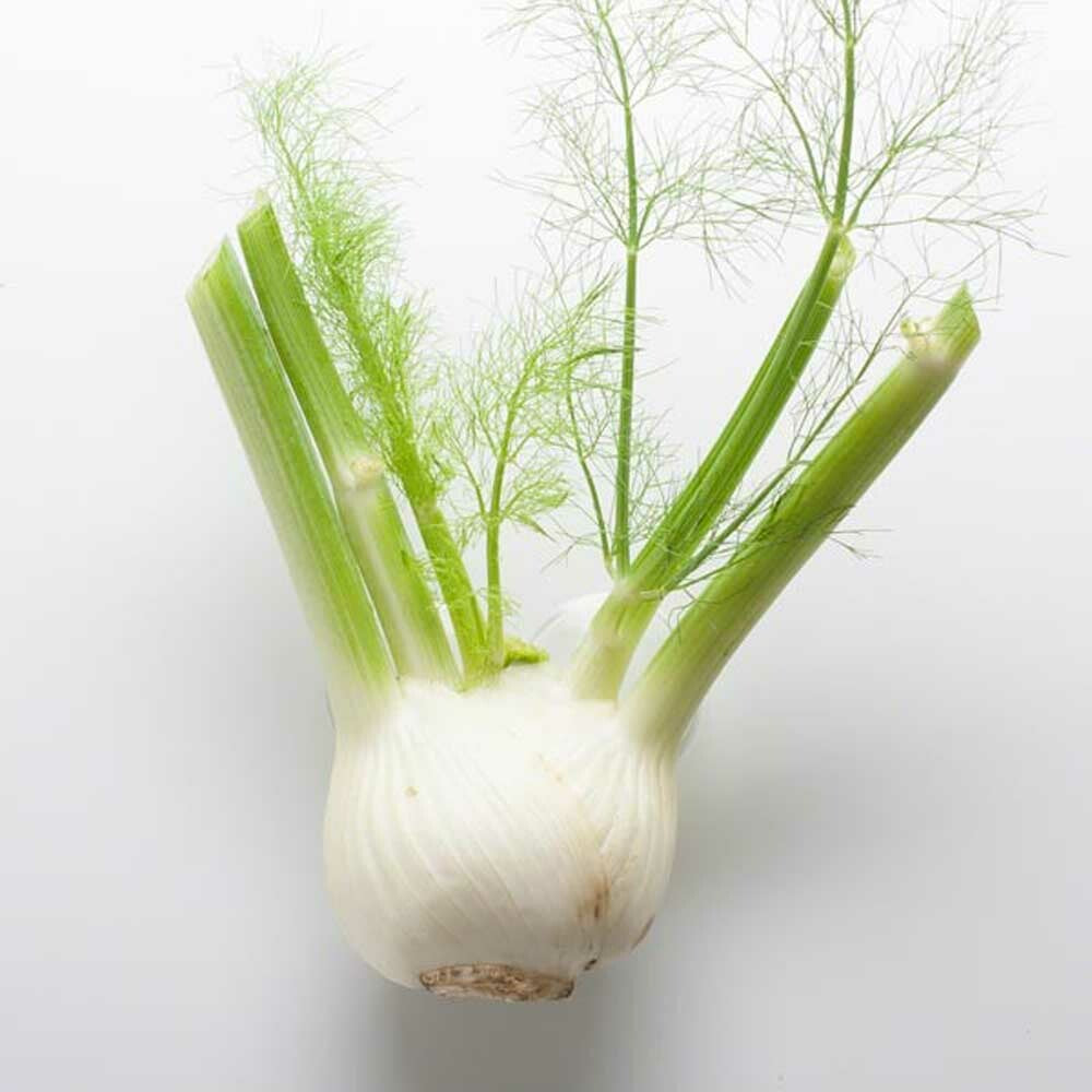 Anise Flavor Powder (Sugar-Free), Organic