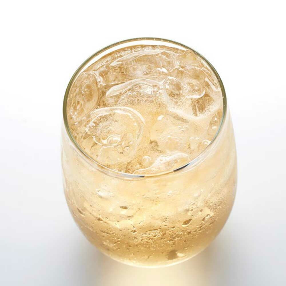 Ginger Ale Super Concentrated Flavor Powder (3X Fold)