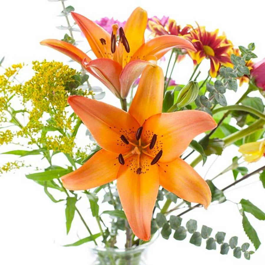 Organic Mountain Flower Fragrance Emulsion (Water Soluble)