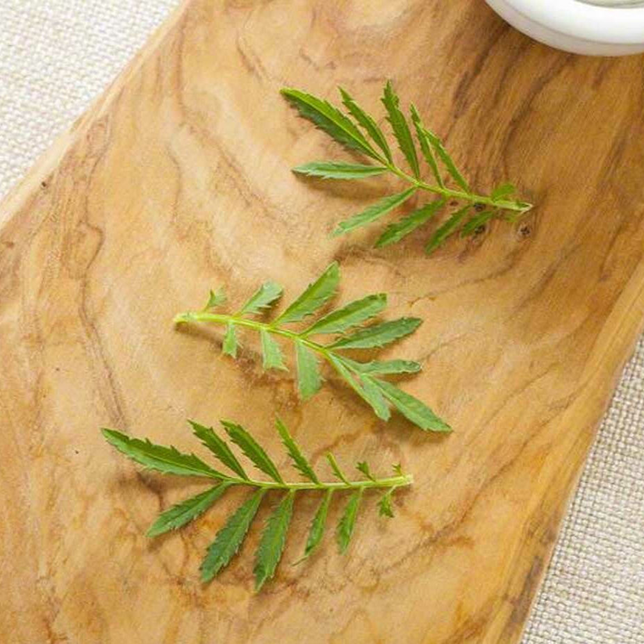 Sante Davana Essential Oil