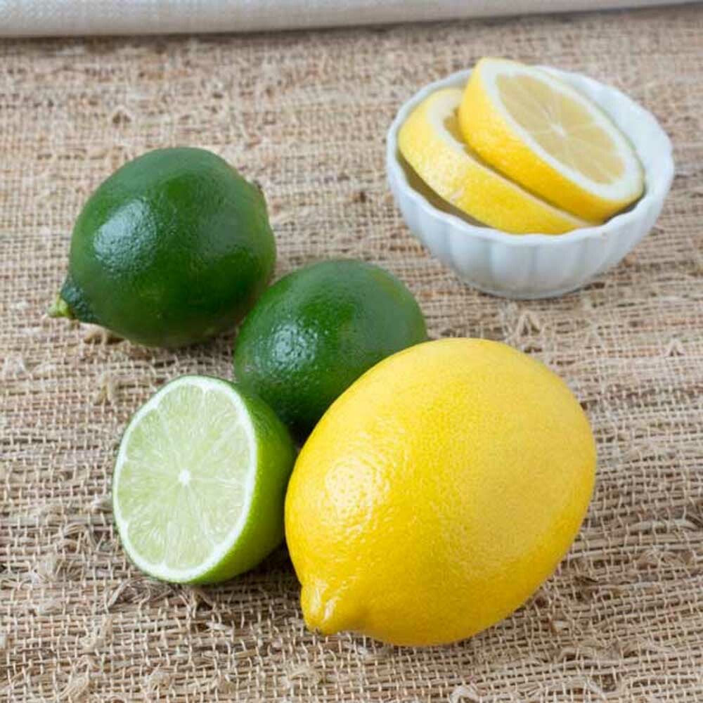 Lemon Lime Flavor Concentrate, Natural