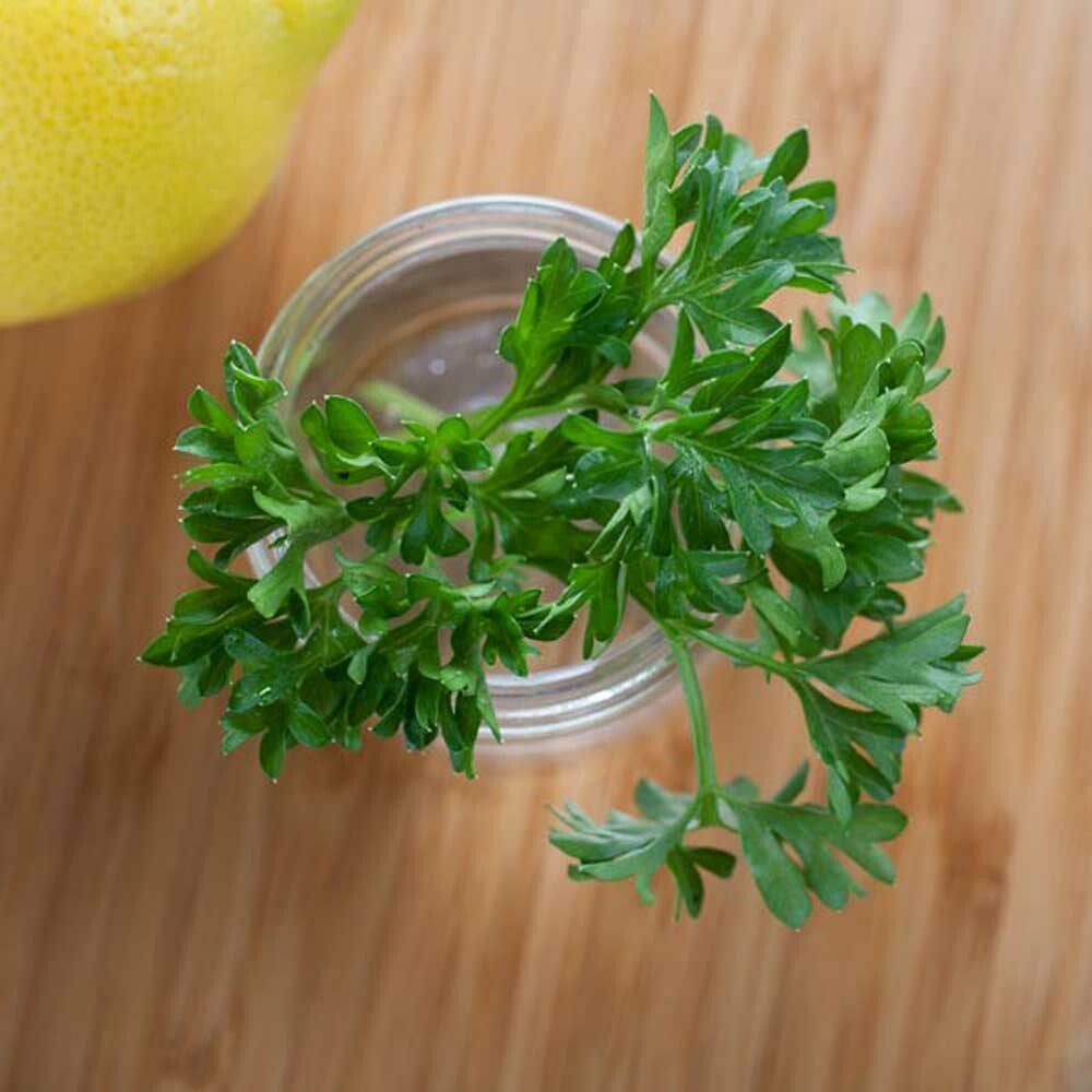 Parsley Flavor Extract Without Diacetyl
