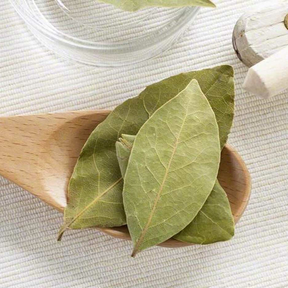 Sante Buchu Leaf Essential Oil