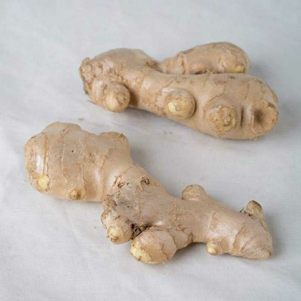 Sante Ginger Essential Oil