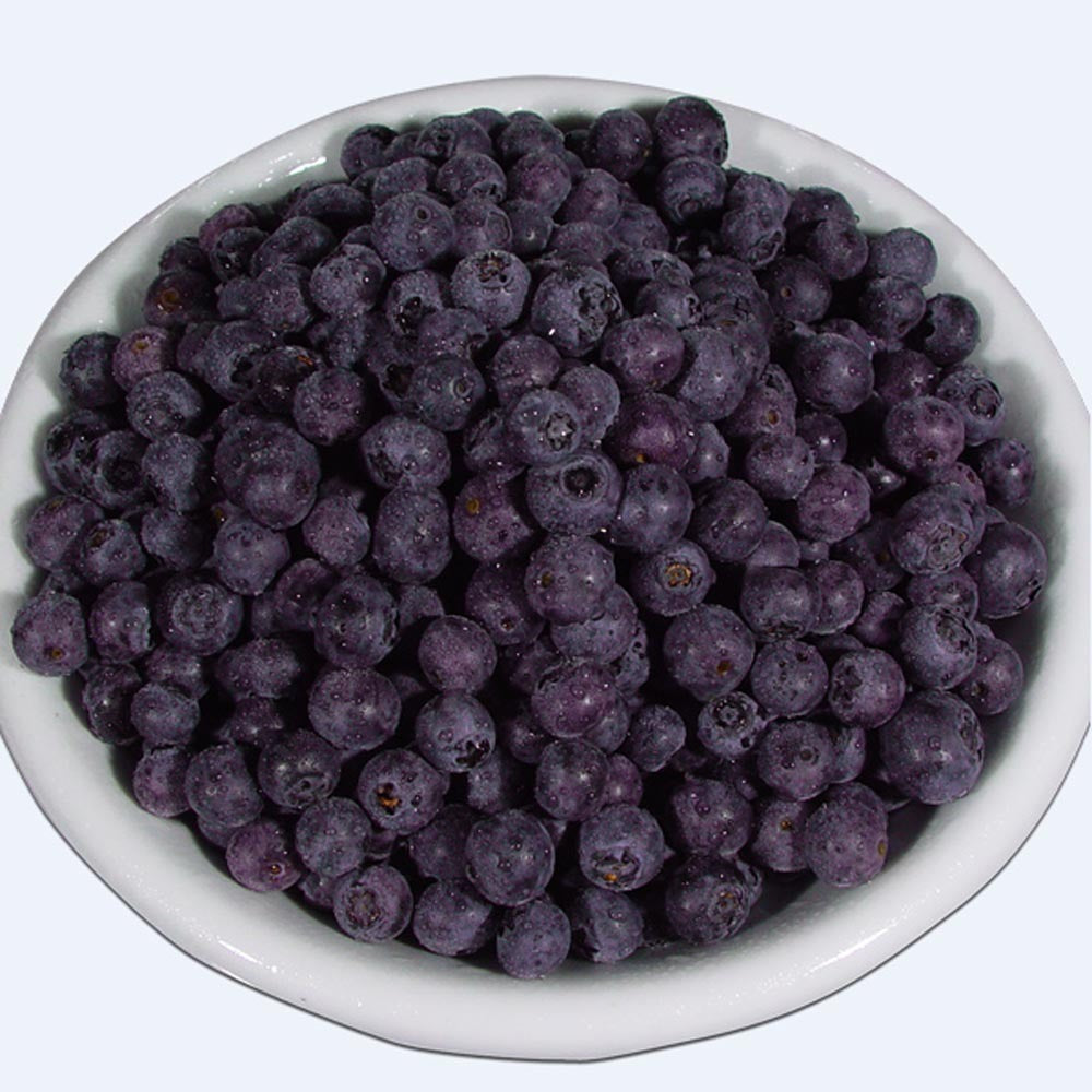 Organic Elderberry Juice Concentrate