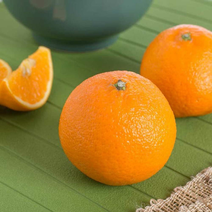 Tangerine Flavor Powder, Natural