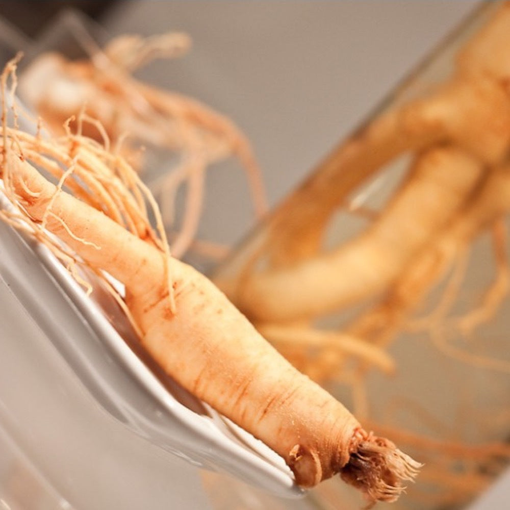 Organic Ginseng Flavor Concentrate Without Diacetyl