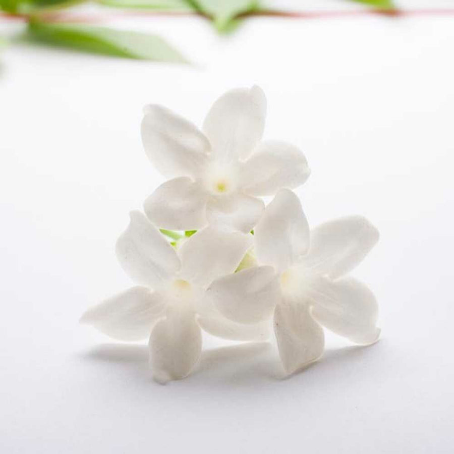 Jasmine Fragrance Oil (Oil Soluble)