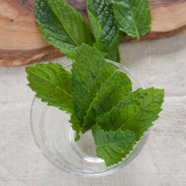 Spearmint Flavor Powder, Natural