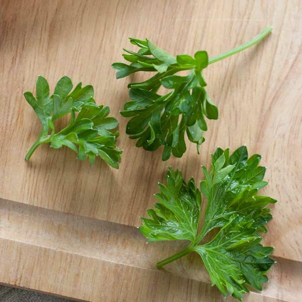 Sugar Free Parsley Flavor Powder