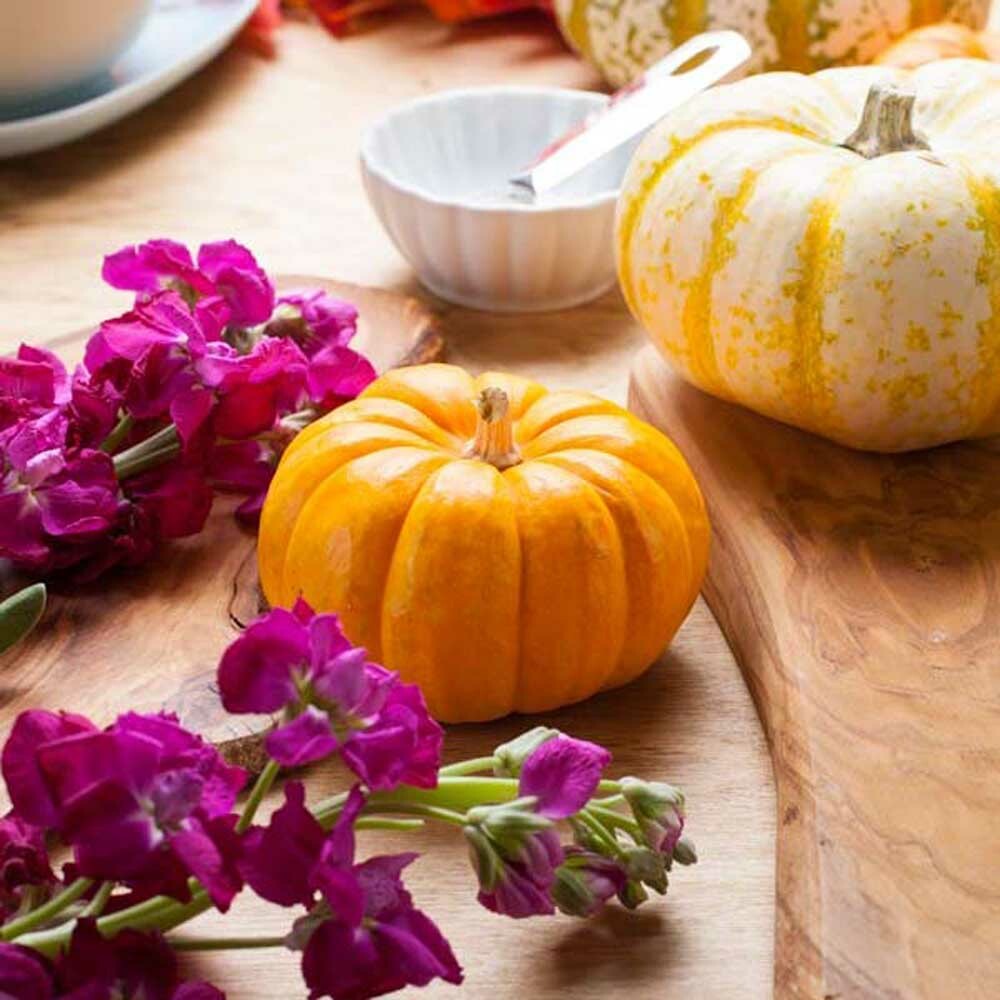 Pumpkin Coffee and Tea Flavoring (3x Fold)