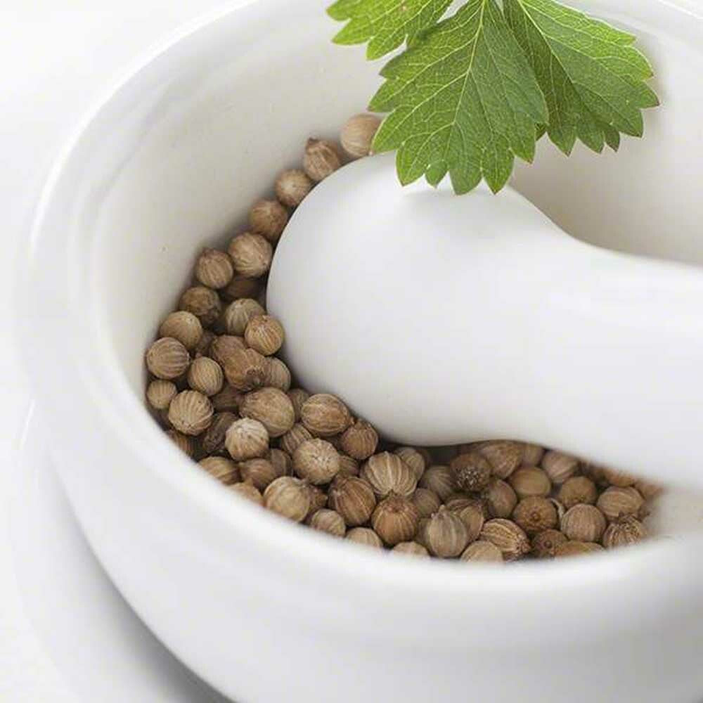 Sante Coriander Essential Oil