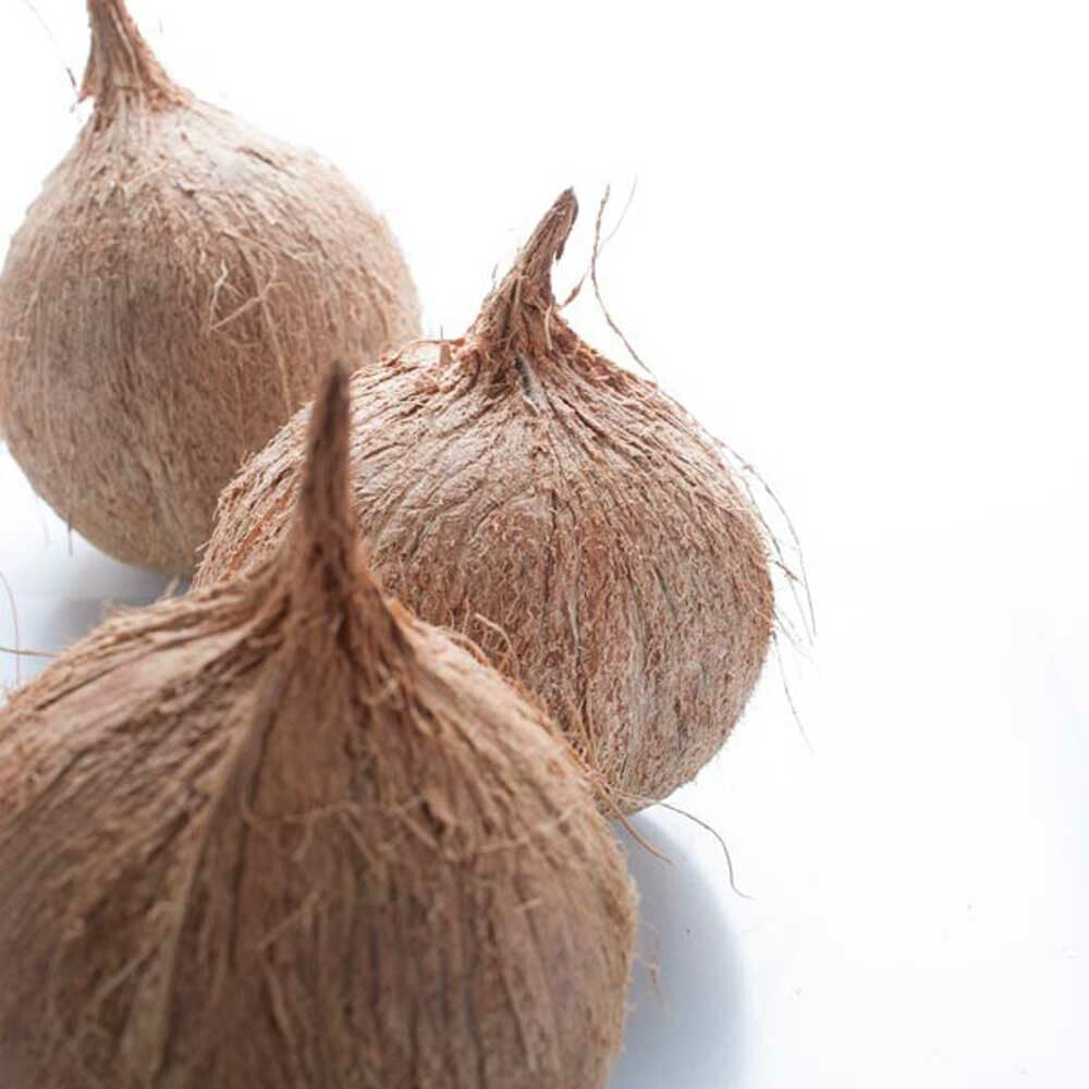 Organic Coconut Fragrance Emulsion with Floral Notes (Water Soluble)