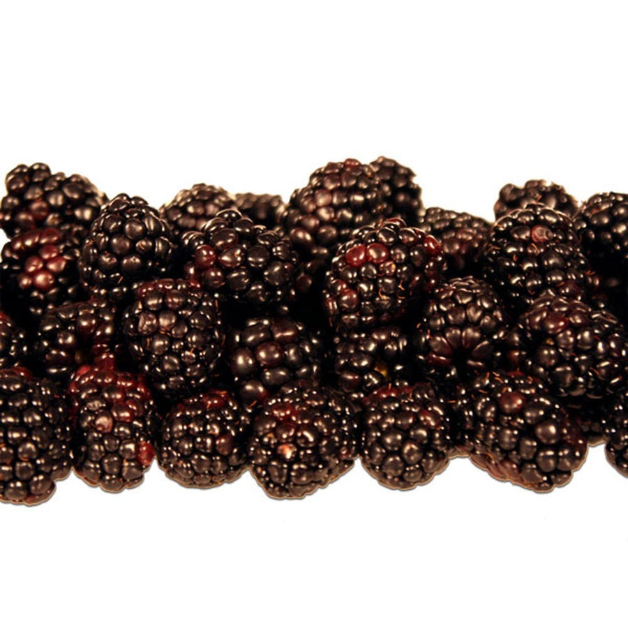 Xylitol Boysenberry Smoothie/Shake Base (Kosher, Vegan, Gluten Free)