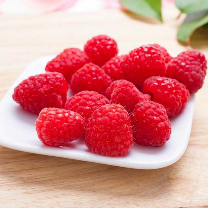 Raspberry Truffle Flavor Powder, Natural