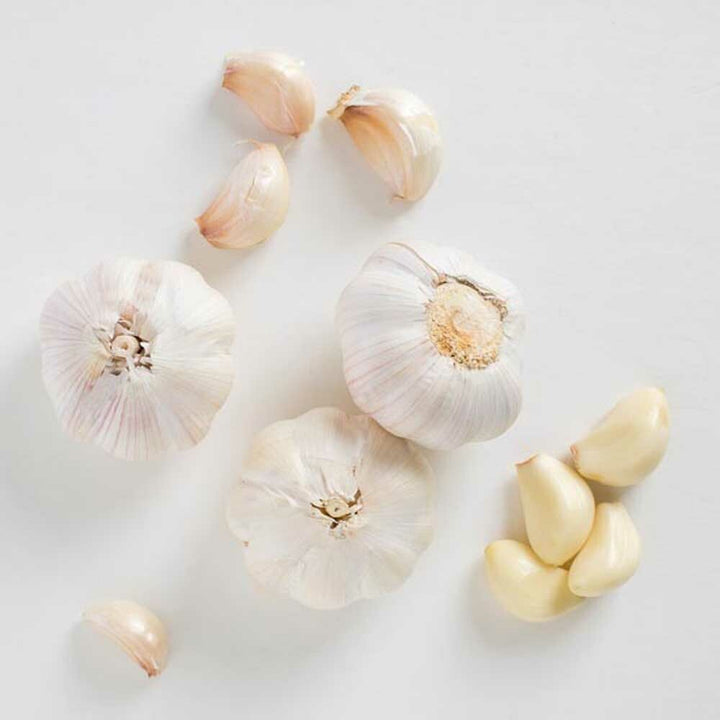 Garlic Flavor Powder, Organic