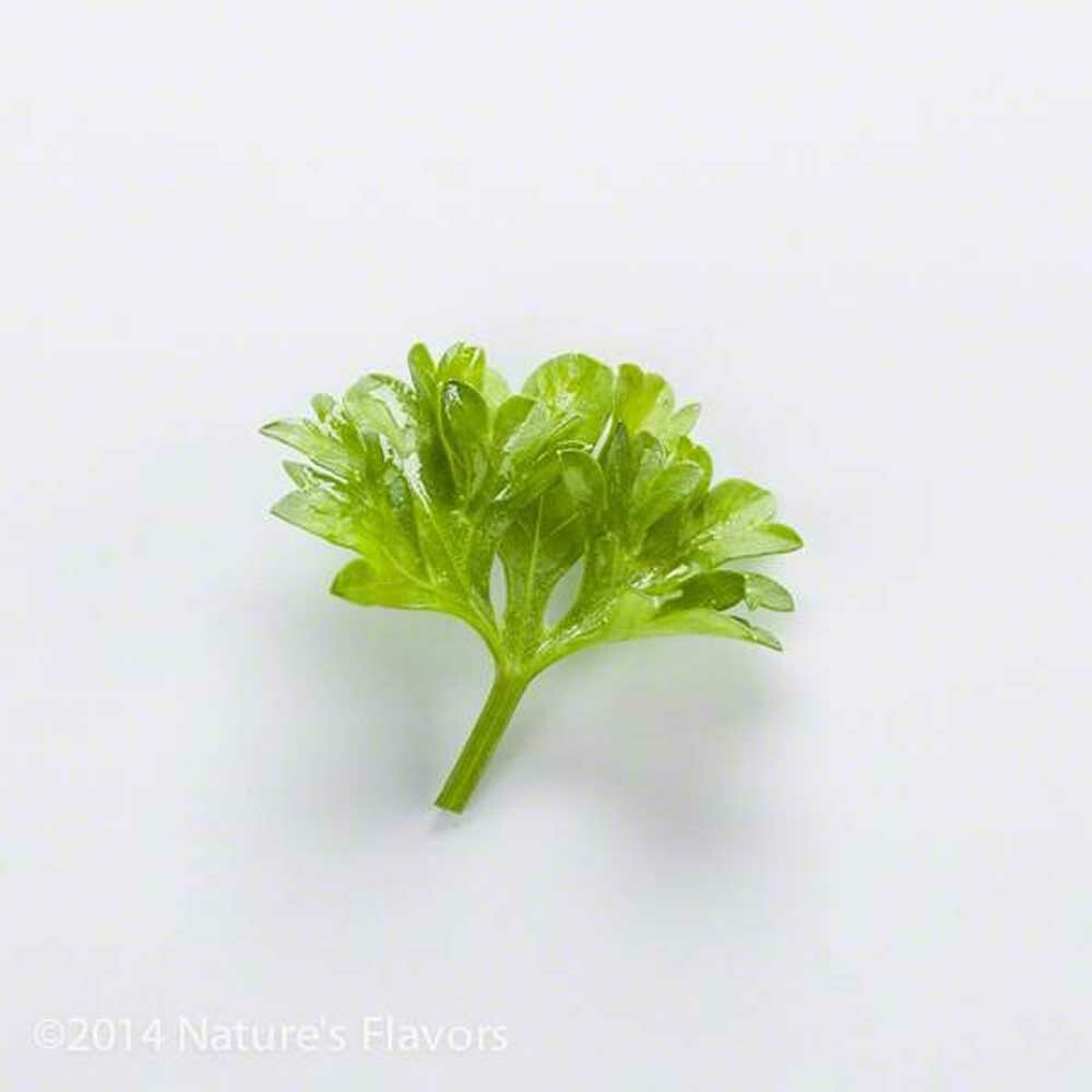 Sante Parsley Essential Oil
