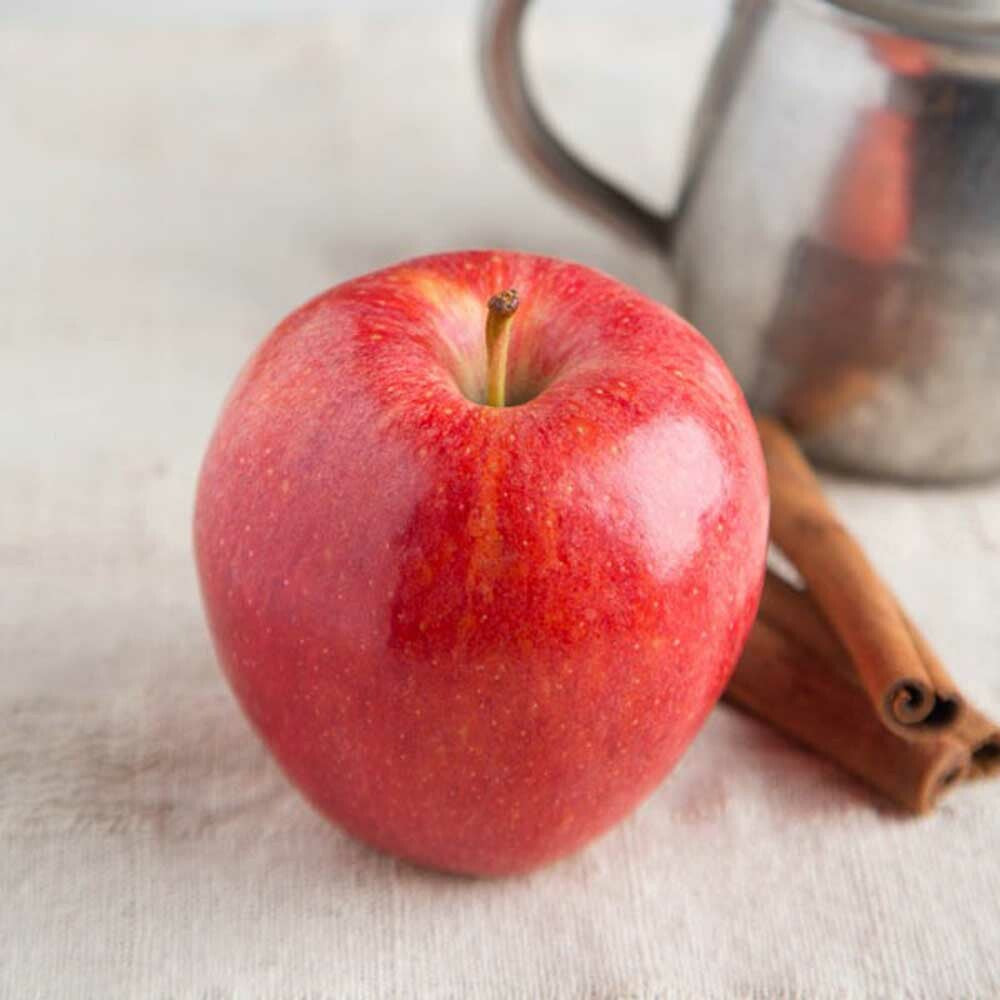 Apple Spice Fragrance Oil (Oil Soluble), Organic