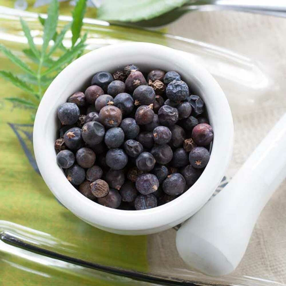 Pimento Berry Essential Oil, Natural