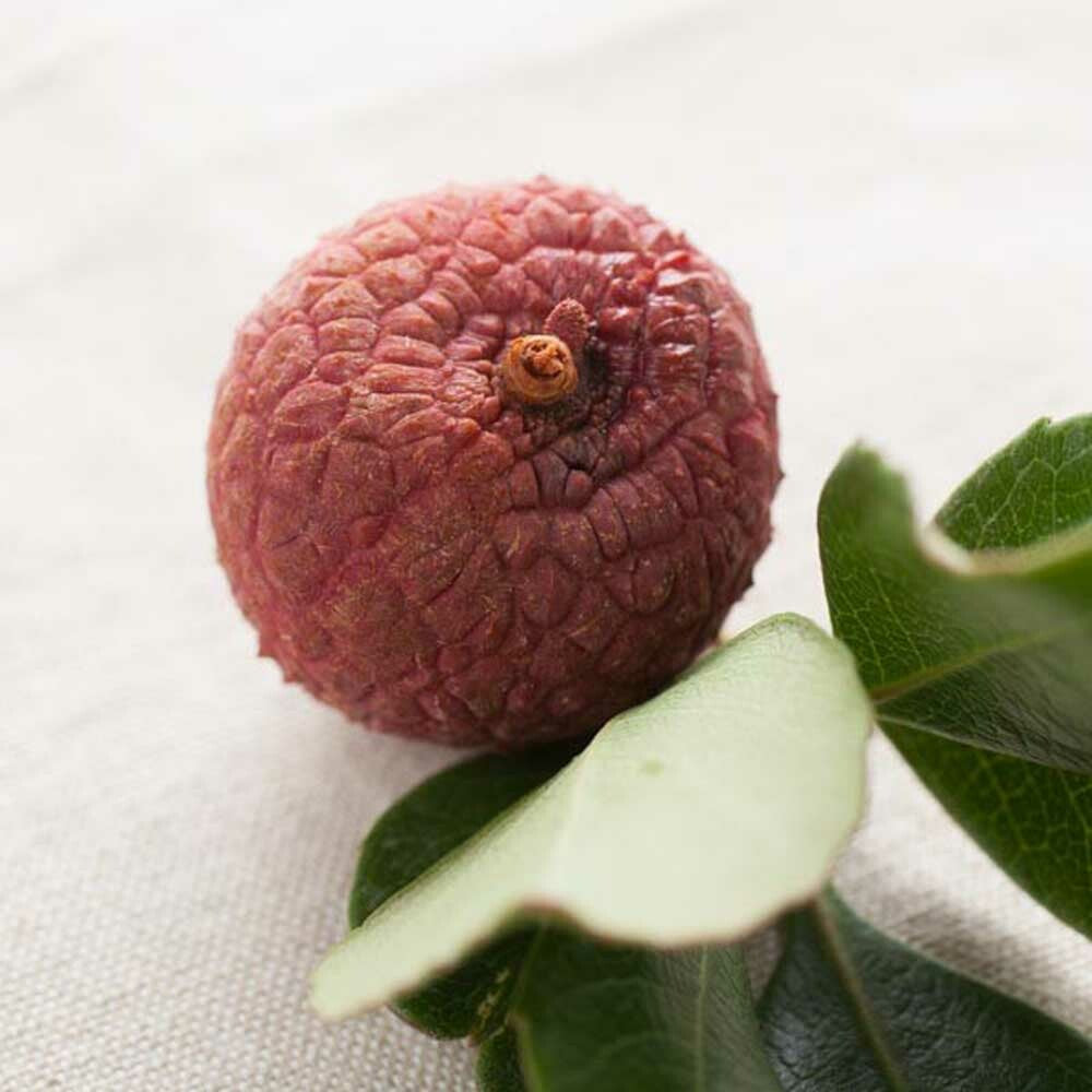 Lychee Flavor Powder, Natural