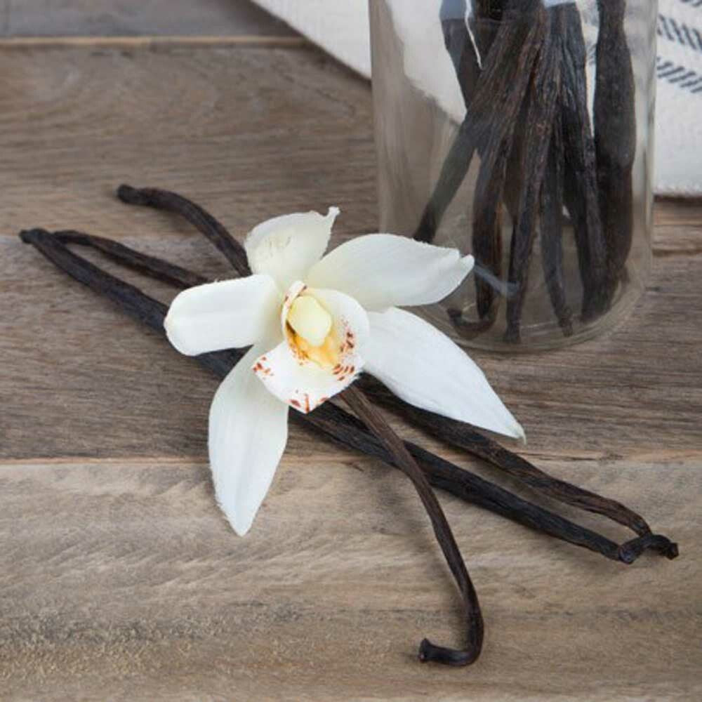 Vanilla Clear Flavor Concentrate, Organic