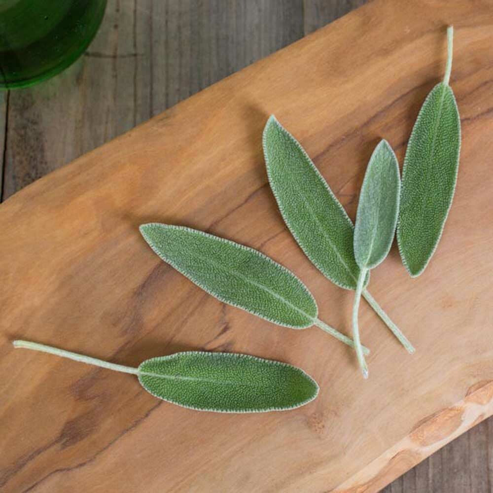 Sage Flavor Powder, Natural